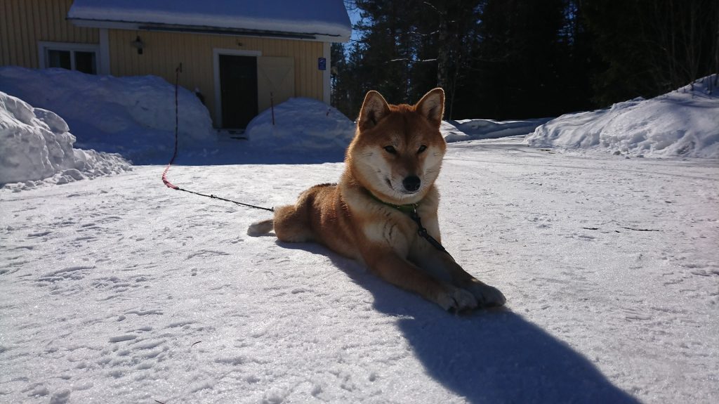Hana